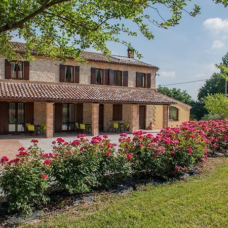 Agriturismo La Vecchia Fonte Castelbellino Eksteriør bilde