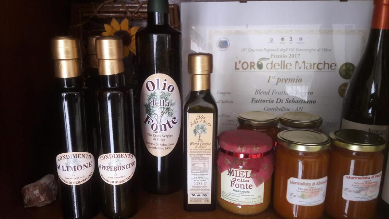 Agriturismo La Vecchia Fonte Castelbellino Eksteriør bilde