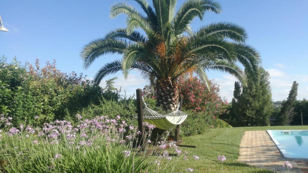 Agriturismo La Vecchia Fonte Castelbellino Eksteriør bilde