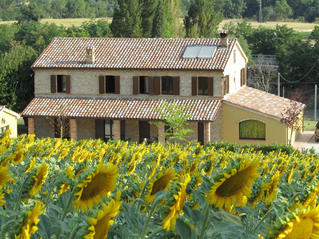 Agriturismo La Vecchia Fonte Guest House Castelbellino Eksteriør bilde