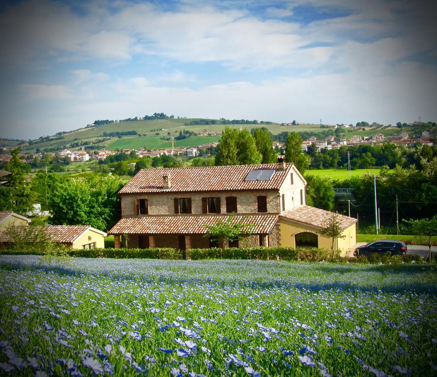 Agriturismo La Vecchia Fonte Castelbellino Eksteriør bilde